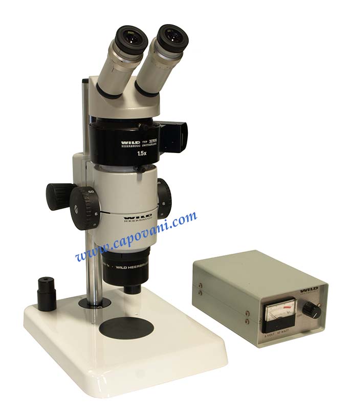 WILD STEREOMICROSCOPE 6X - 50X