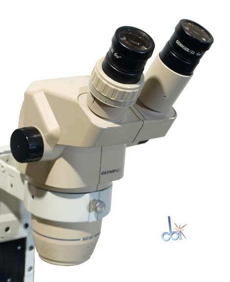 OLYMPUS STEREO MICROSCOPE 10X - 40X